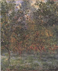 Under Lemon Trees